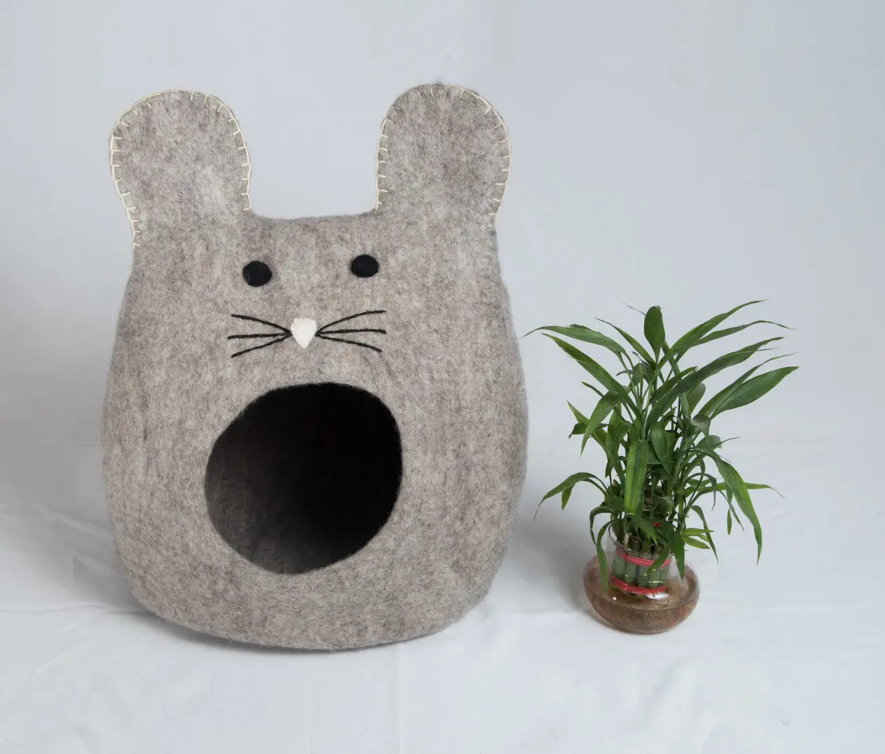 Cat House